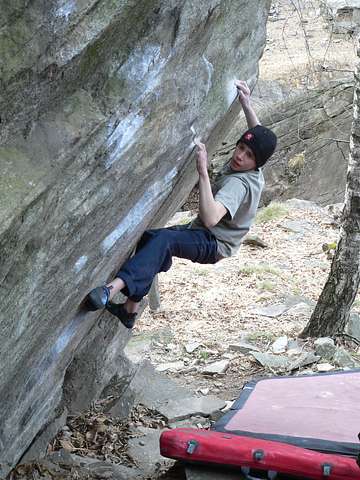 Giuliano Cameroni