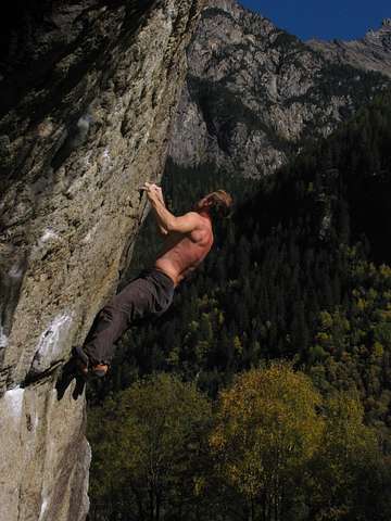 Peter Hammer