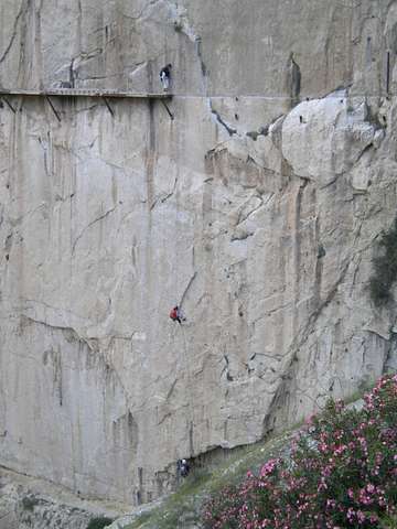Barbara Anika Baracchi