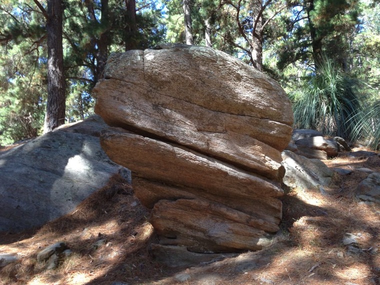 Rocky Paddock Camp Ground