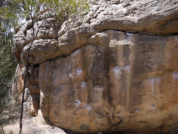 Happy Camper Boulder