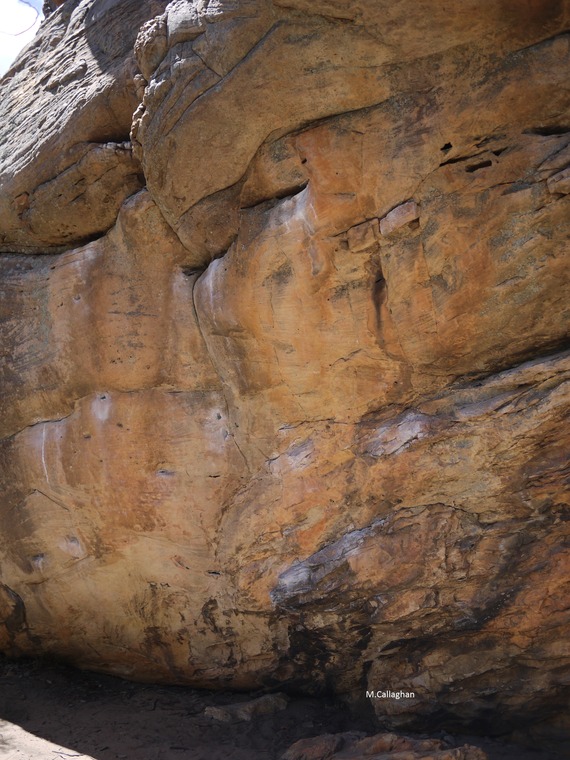 Happy Camper Boulder