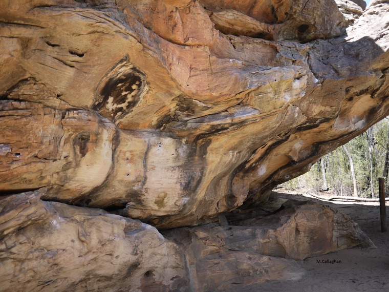 Happy Camper Boulder