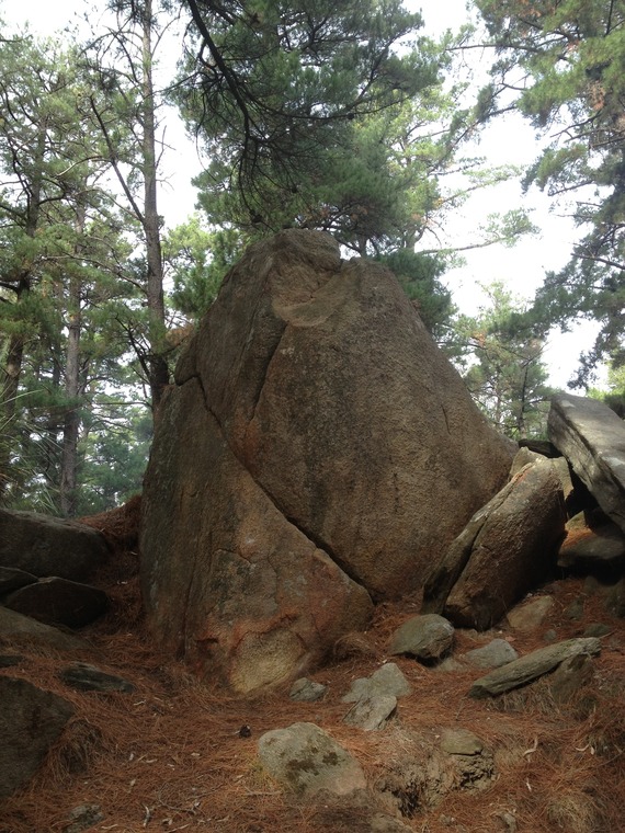 Rocky Paddock Camp Ground