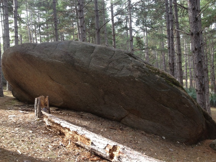 Rocky Paddock Camp Ground