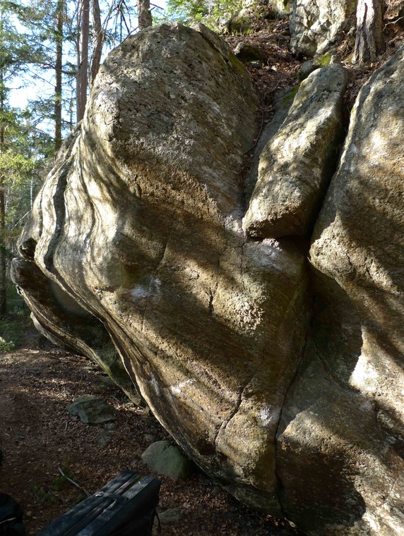 Hundklubben - Piraten
