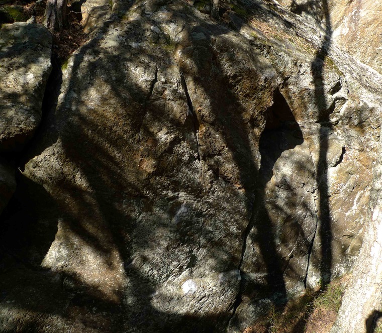 Hundklubben - Piraten