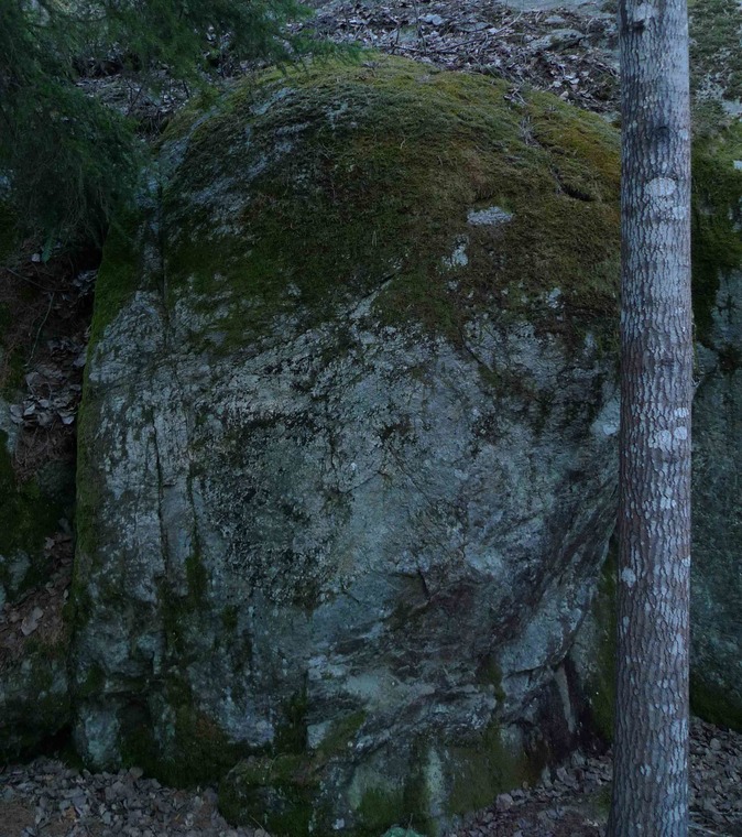 Hundklubben - Sans Balance