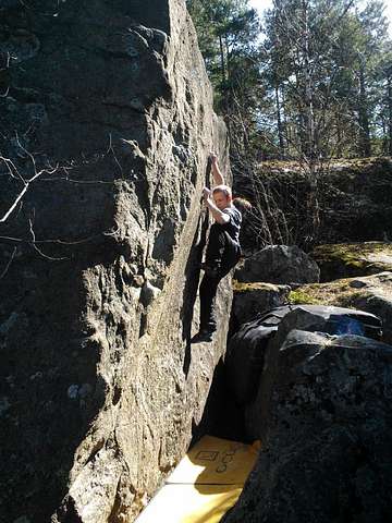 Niko Kaukojärvi