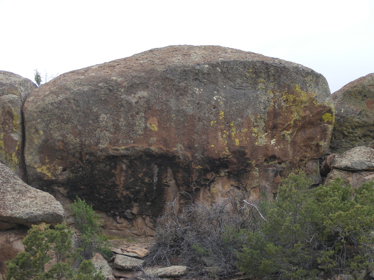 Gradeflation Station