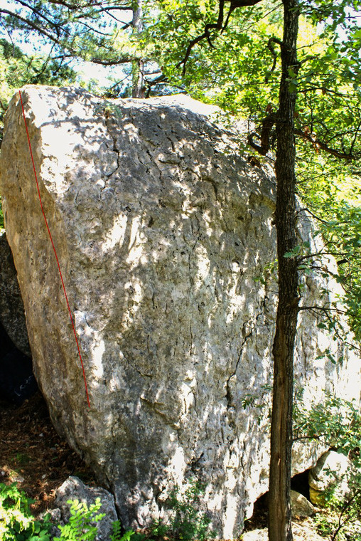 Хвоя, На горшке, Рваная спина