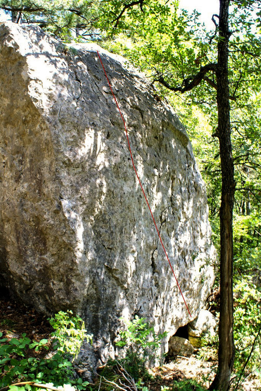 Хвоя, На горшке, Рваная спина