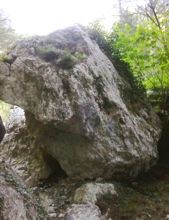 Ошибка Природы