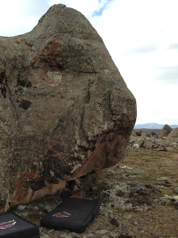 Postman Blues Sector