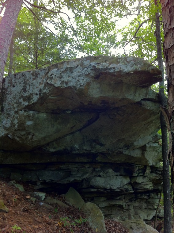 Ital Visions Boulder