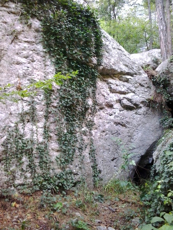 Плющиха, Лиза