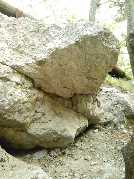 Белый Медведь