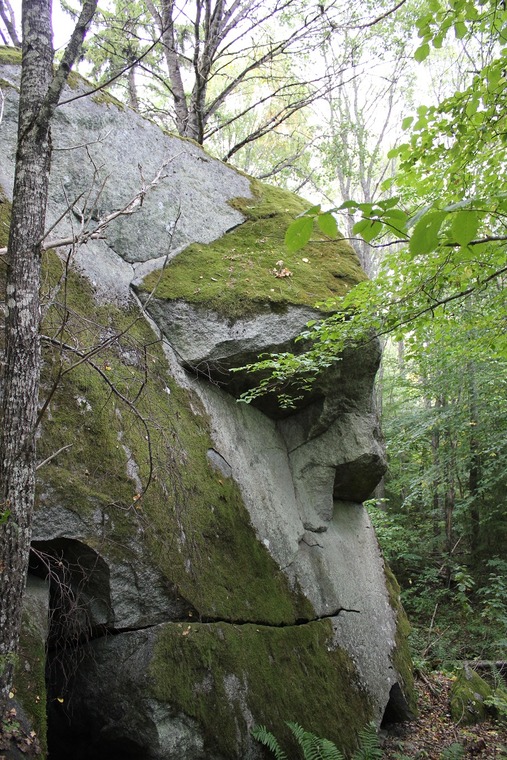 Predikstonen - boulder