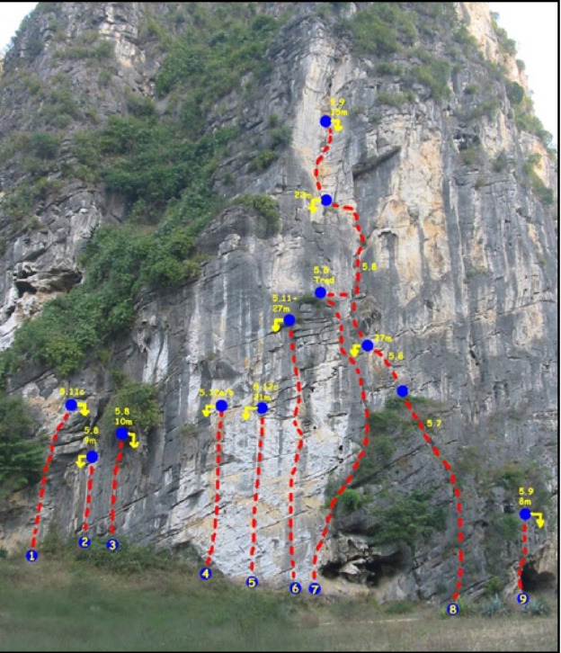 The Wizard of Oz Left