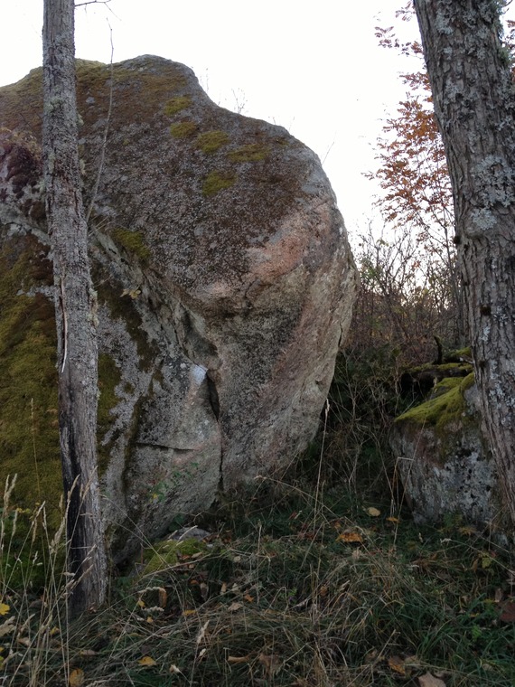 Sweden can go to the shit!