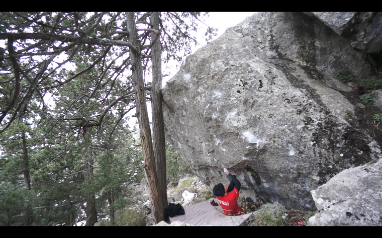 Предполагаемый убийца