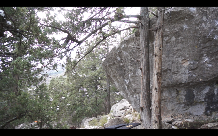 Предполагаемый убийца