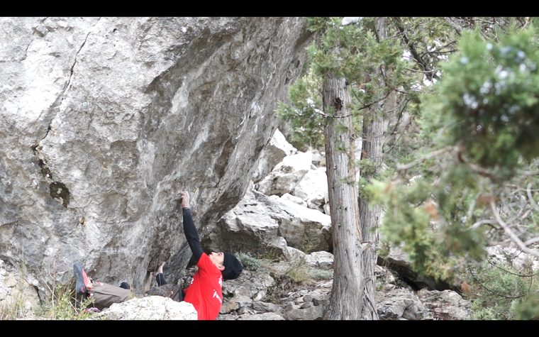 Предполагаемый убийца