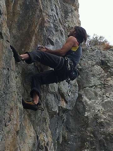 Malgache Martin