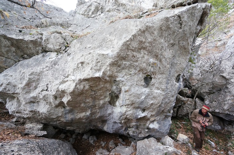 Старая школа