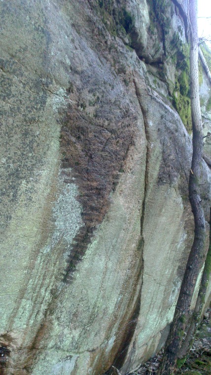 Nypussa vegg m/mange bulder!