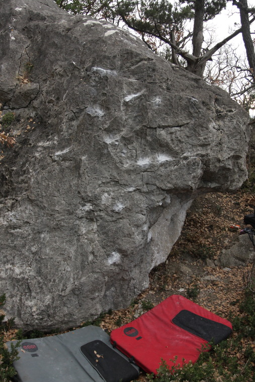 Ослик суслик паукан