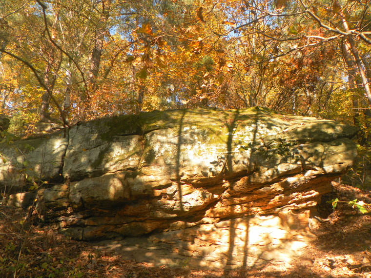 Kaczor Donald i Piaskownica