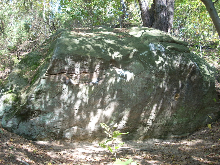 Kaczor Donald i Piaskownica