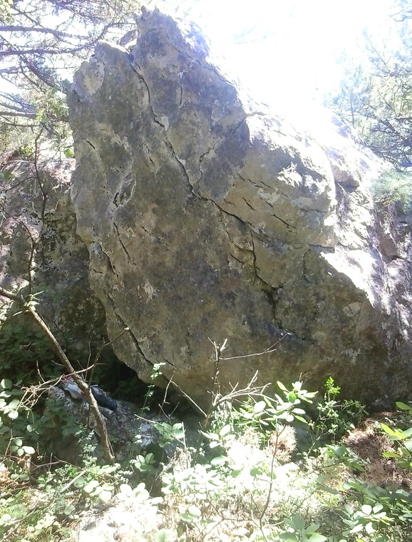 Невидимка, Рица, Мешочек-Покатун