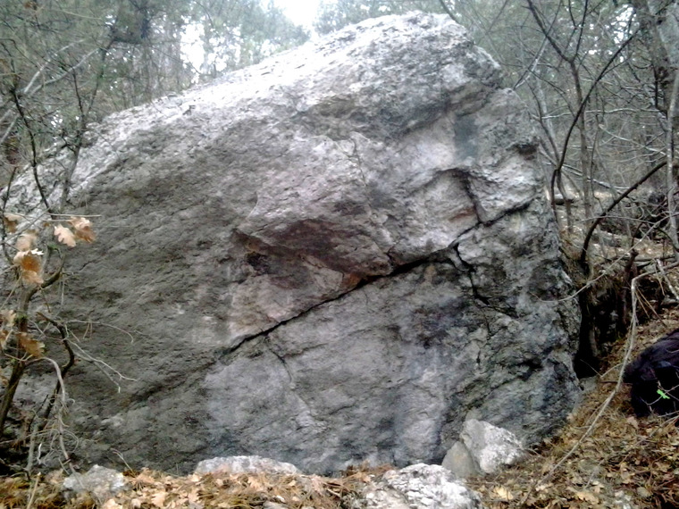 Дохват, Муравьиный Заговор