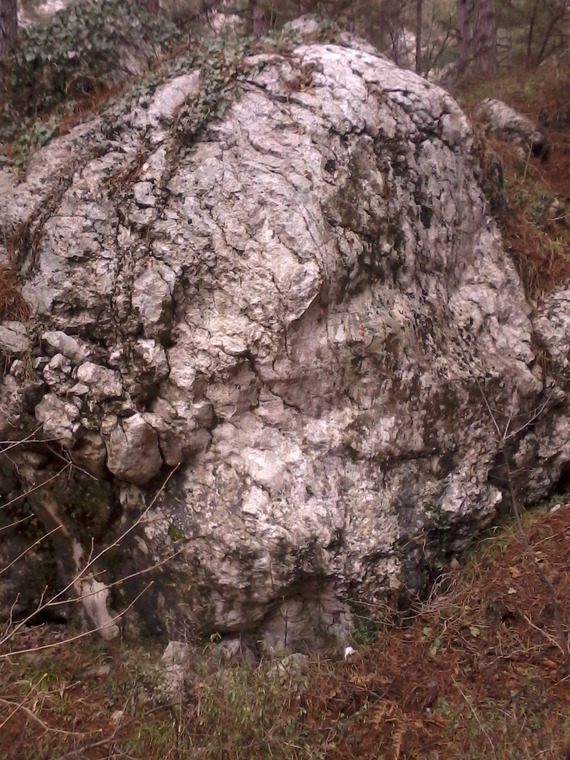 Трубоходец