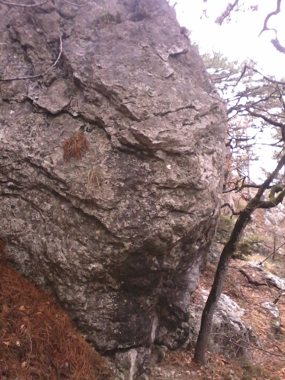 Звёздный Волк