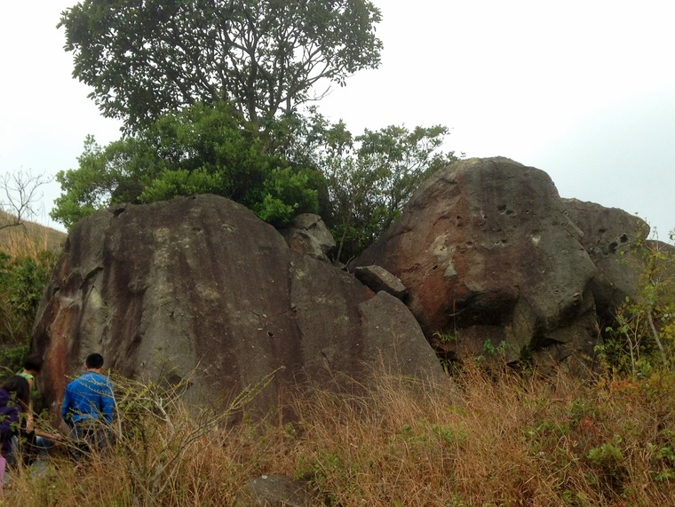 Lone Tree Boulder