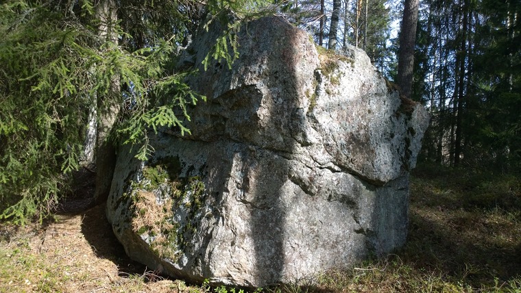 Pygmin päiväuni