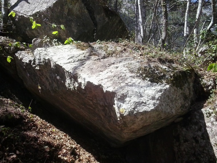 Императрица