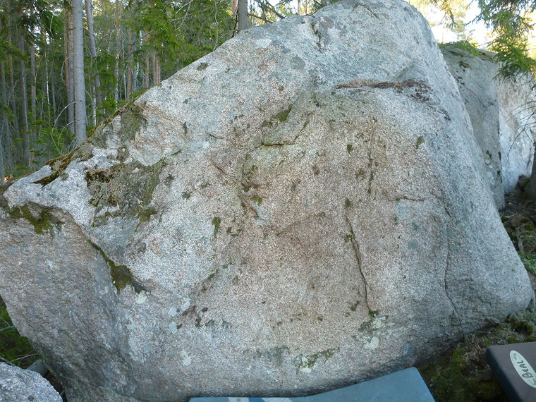 Gul bländ - Easy lowballs