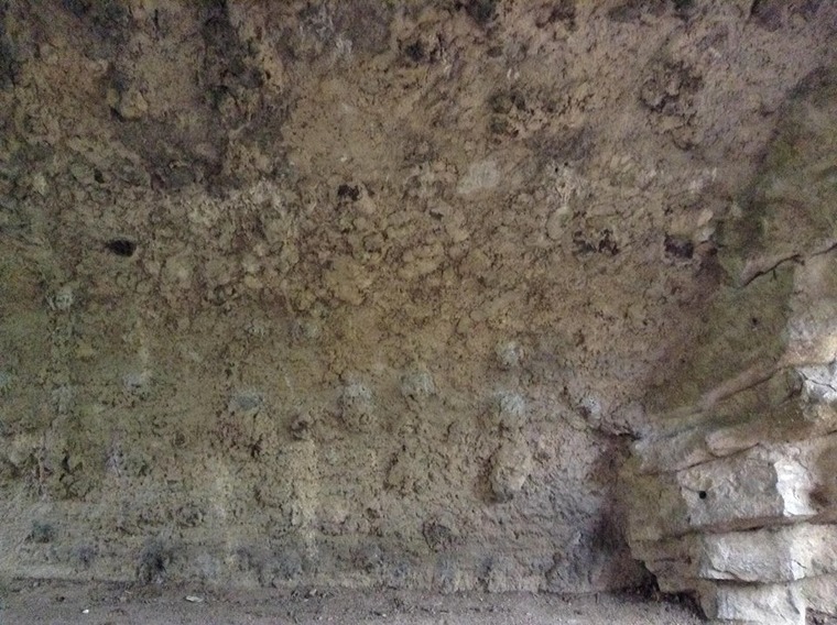 Cȏté gauche en descendant la pente