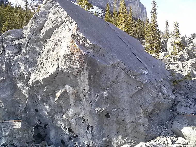 Hip Crusher, Teamwork & Guano