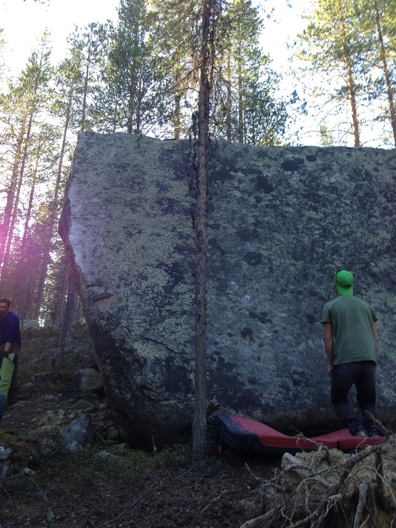 Dödsareten uppe i skogen