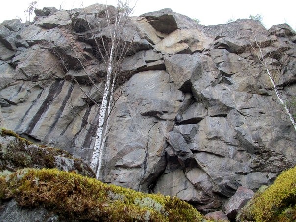 сектор Треугольники