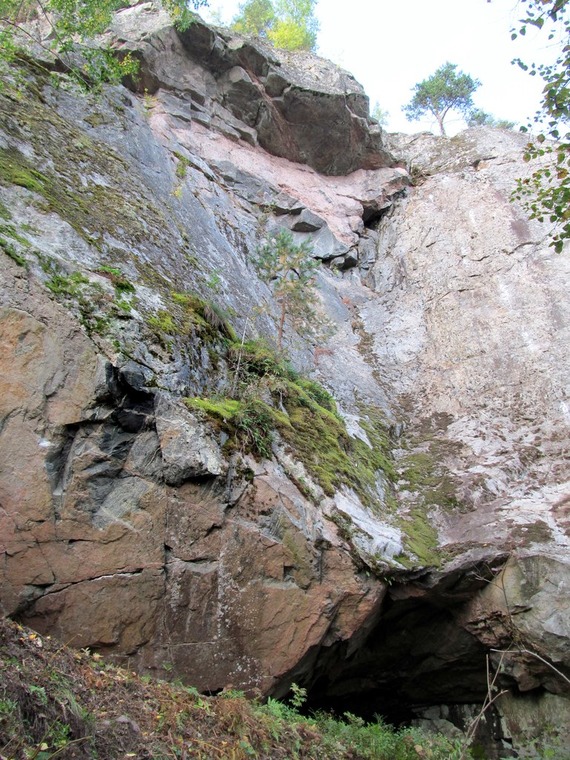 сектор Опера