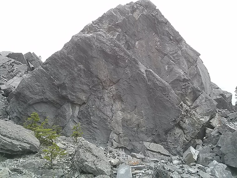 Hip Crusher, Teamwork & Guano