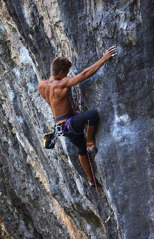 Anttoni Soini