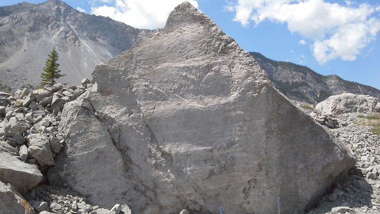 Bride of Frankenstein