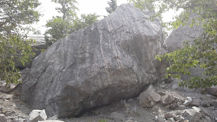 House, Cartel, and Galactic